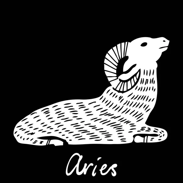 Aries zodíaco horóscopo mão desenho sinal para pa oculto místico — Vetor de Stock