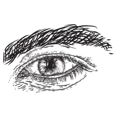 Oyulmuş üslupta insan gözü. İrisli erkek görme organı, eyebro