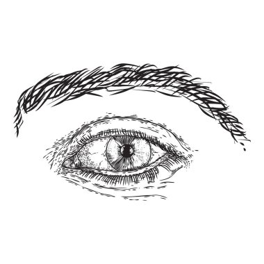 Oyulmuş üslupta insan gözü. İrisli erkek görme organı, eyebro