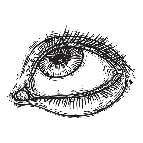 Ojo humano en estilo grabado. Órgano de visión masculina con iris y pestañas en el frente. Elemento de diseño de salón de maquillaje para hombre. Todos viendo el símbolo del ojo. Vector . — Vector de stock