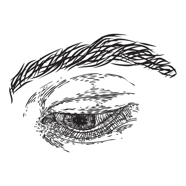 Ojo humano en estilo grabado. Órgano de visión masculina con iris, párpado — Vector de stock