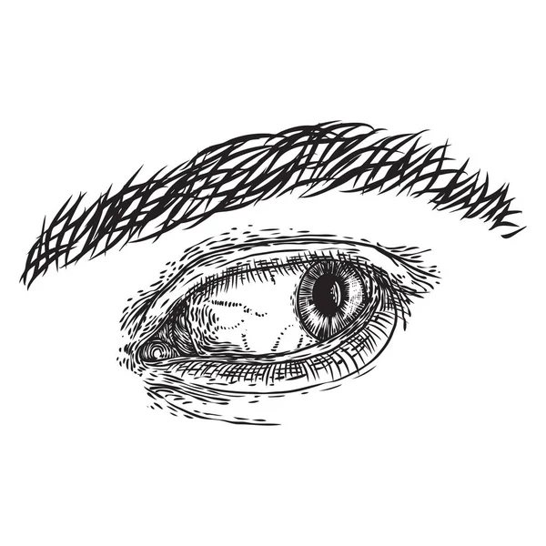 Mänskligt öga i handritad stil. Anatomi vision orgel Elem — Stock vektor