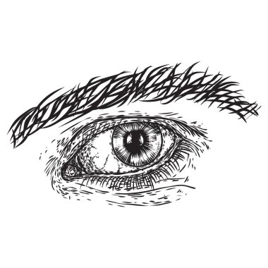 El çizilmiş tarzı insan erkek göz. Görme organı elem anatomisi
