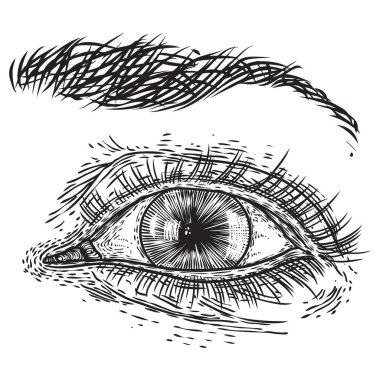 Iris, kaşlar ve tam kirpikler ile el çizilmiş kadın göz. Makyaj