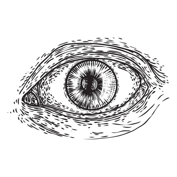 Various drawing of the all seeing eye in different direction and