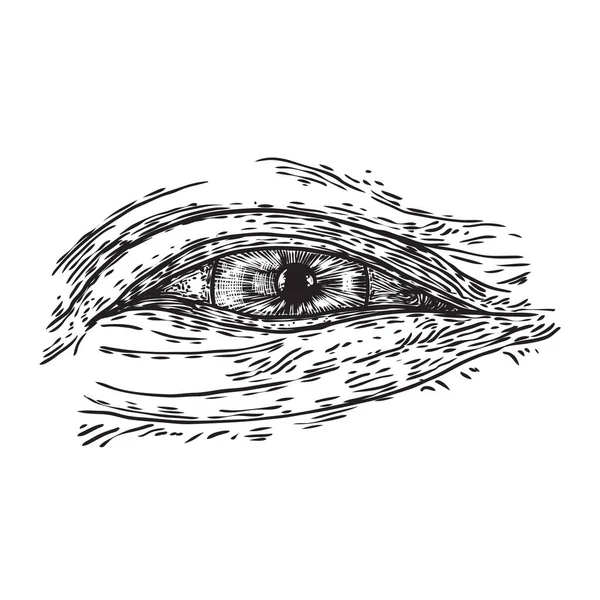 Olika ritning av alla seende öga i olika riktning och — Stock vektor