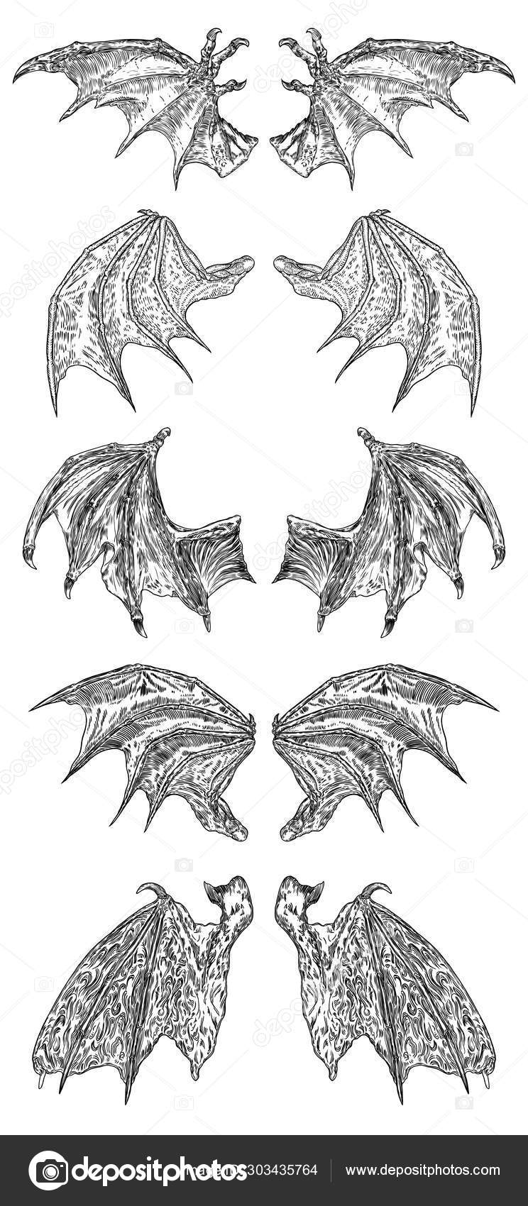 120 Gargoyles Tattoo Drawing Illustrations RoyaltyFree Vector Graphics   Clip Art  iStock