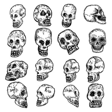 Farklı yönlerde dekoratif insan kafatasları seti, el çizimi çizimleri. Dekoratif büyücülüğün stilize edilmiş çizimi, vudu büyüsü niteliği. Cadılar Bayramı için çizim. Vektör.