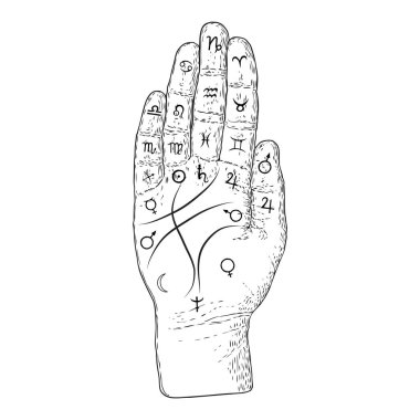 Palmistry. Eldeki ezoterik okült semboller, kehanet avuç içi veya okuma tasarımı. El çizimi. Vektör. 