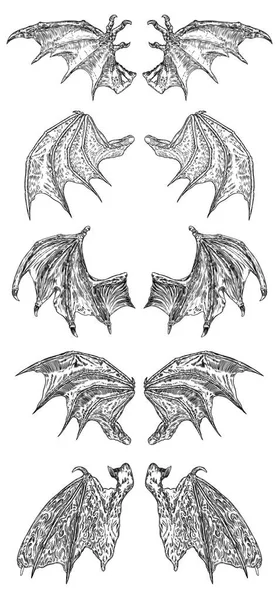 手描きのヴィンテージエッチング木版画堕天使や吸血鬼の詳細な翼のセット。ドラゴンまたはガーゴイルの翼。タトゥーやマスコットのデザインのための草の根の翼。独立したスケッチ集。ベクトル. — ストックベクタ