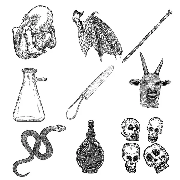 Simya sembolü öğeleri ayarlanır. Maneviyat, okültizm ve kimya, sihirli dövme kroki. İnsan kafatasları, kulak, vampir yarasa kanadı, cerrahi alet, yılan, iksirli şişe, insan embriyosu el çizim vektörü