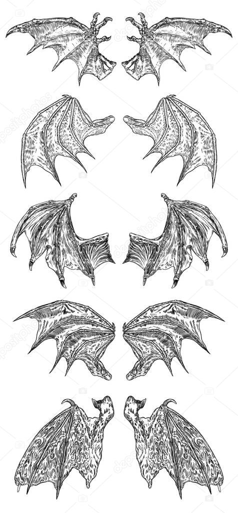 Set of hand drawn vintage etched woodcut fallen angel or vampire detailed wings. Dragon or gargoyle wings. Heraldic wings for tattoo and mascot design. Isolated sketch collection. Vector.
