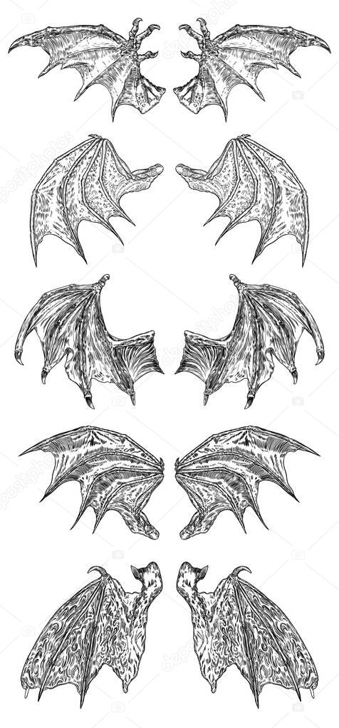Set of hand drawn vintage etched woodcut fallen angel or vampire detailed wings. Dragon or gargoyle wings. Heraldic wings for tattoo and mascot design. Isolated sketch collection. Vector.