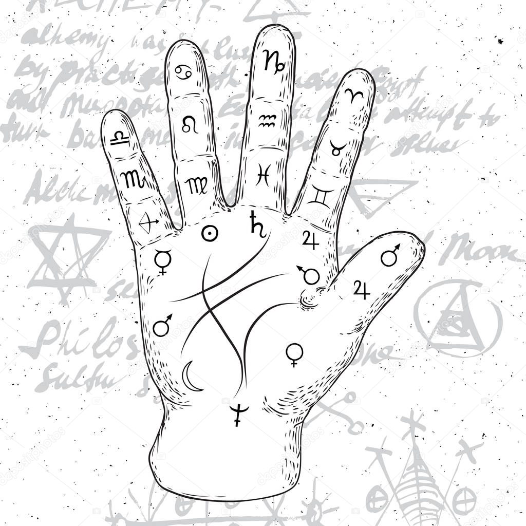 Chiromancy hand, ancient palm reading drawing and spiritual symbols. Divination and prediction, palmistry map on open hand with signs of the planets. Magic witchcraft writing background. Vector. 