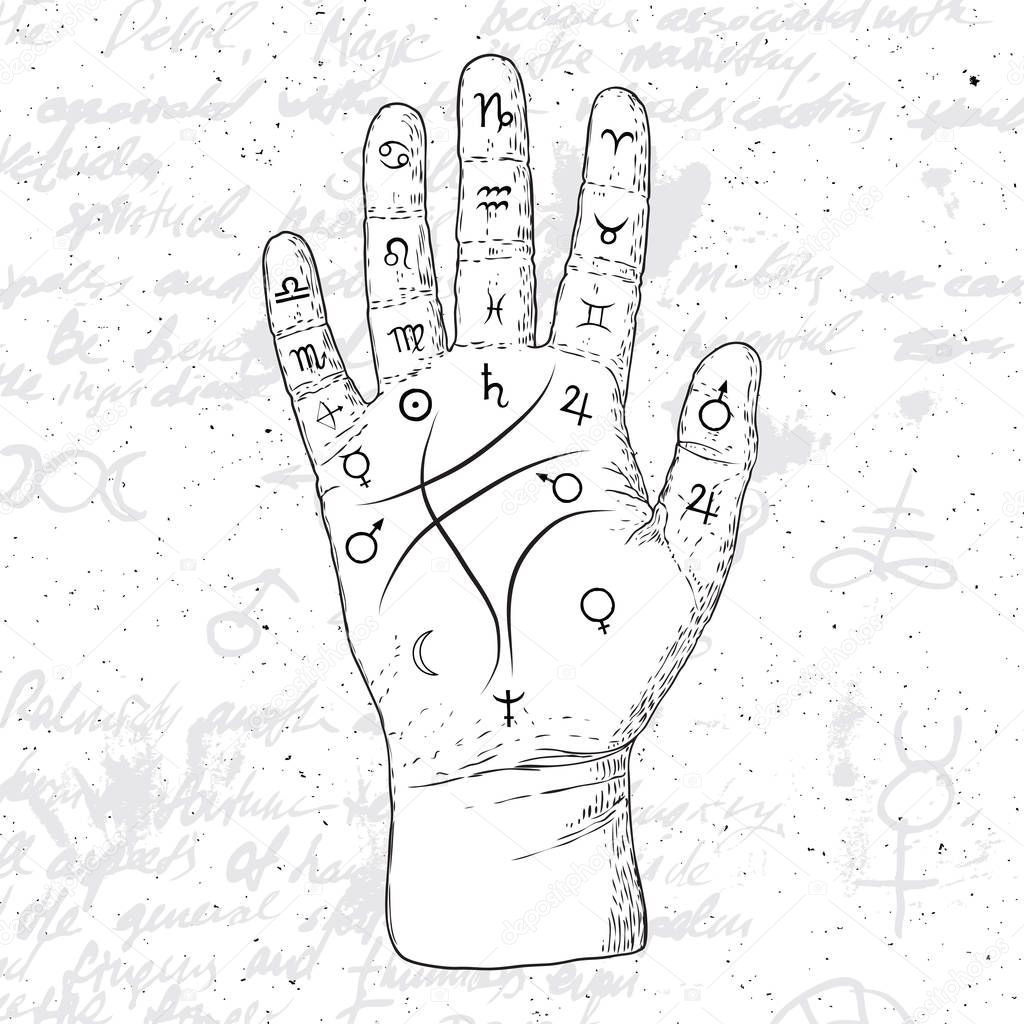Chiromancy hand, ancient palm reading drawing and spiritual symbols. Divination and prediction, palmistry map on open hand with signs of the planets. Magic witchcraft writing background. Vector. 