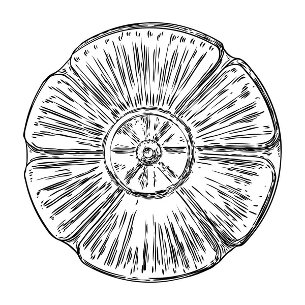 Μπαρόκ αρχαίο vintage στυλ floral κυκλικό στοιχείο σχεδιασμού. Μάρμαρο Ροζέτ σχέδιο για το μοντέρνο μοτίβο σε μαύρο λευκό για το ύφασμα, κασκόλ, φόντο. Διάνυσμα. — Διανυσματικό Αρχείο