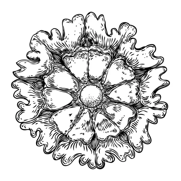 Mandala floral rond circulaire comme des éléments décoratifs baroques vintage. Dessin pierre de marbre pour écharpe de mode, impression, conception de tissu. Vecteur . — Image vectorielle