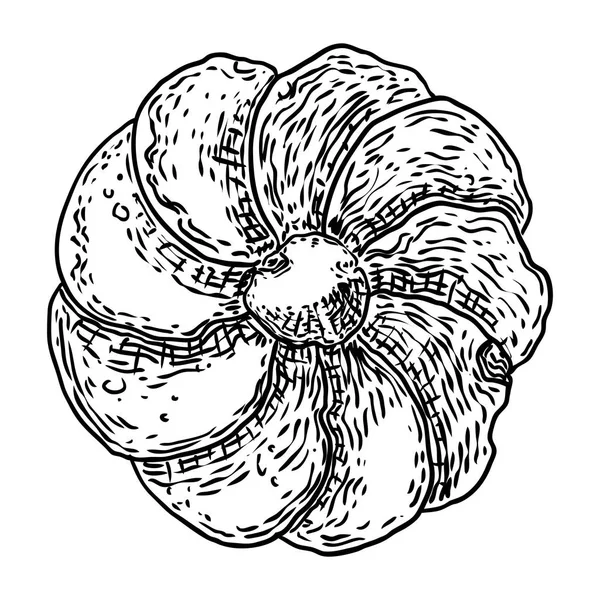 Mandala circular floral redonda como elementos decorativos vintage ornamento barroco. Dibujo piedra de mármol para bufanda de moda, impresión, diseño de tela. Vector . — Vector de stock