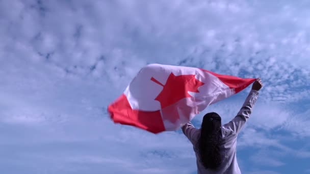 Mulher canadense feliz ficar com acenando bandeira canadense na hora de ouro noite lightning.Cheerful adulto cidadão preto feminino orgulhoso e segurando bandeira nacional com folha de bordo vermelho . — Vídeo de Stock