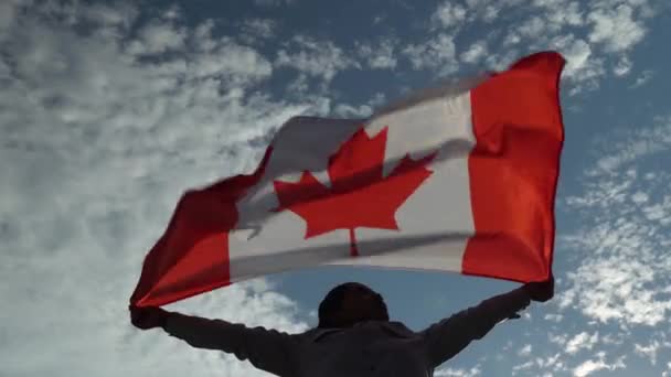 Mulher canadense segurando uma bandeira nacional do Canadá com folha de bordo vermelho contra o vento com o sentimento de orgulho. Noite de ouro, pôr-do-sol. Quase silhueta relâmpago . — Vídeo de Stock