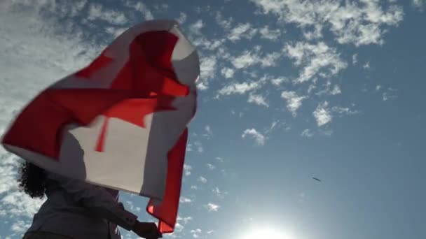 Donna canadese che tiene una bandiera nazionale canadese con foglia d'acero rosso contro il vento con il senso di orgoglio. Ora d'oro sera, tramonto. Fulmine quasi silhouette . — Video Stock