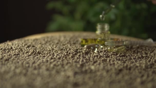 Macro close up of droplet pipette dosing biological and ecological oil of the hemp plant.Pharmaceutical herbal cbd oil in the small jar on the wood table full of hemp seeds. Organic pharma concept. — Stock Video