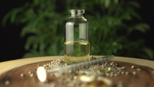 Soustředit se. Lékařské konopí semena konopí různé léky. Prášky, Thc kapsle, cbd olej, injekční stříkačka a skleněná láhev s koncentrátem na dřevěný stůl v blízkosti zelené marihuany rostlina makro detailní up. — Stock video