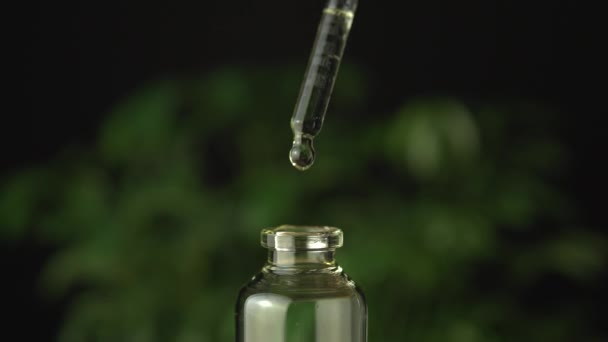 Extreme close up of the glass jar bottle with extracted medical cannabis cbd oil collecting for oral use. Can be applyas topicals and applied externally to the skin. Revolution in medications. — Stock Video