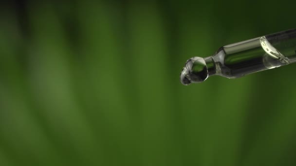 Extreme macro close up of droplet pipette dosing biological and ecological oil of the hemp plant.Pharmaceutical herbal cbd oil, organic pharma concept, on green background. — Stock Video