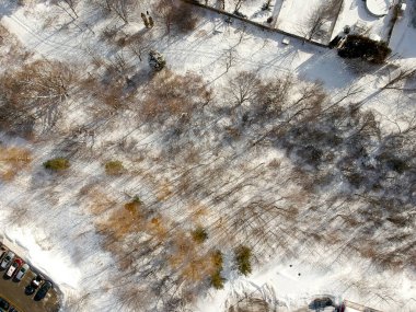 Etrafı ağaçlarla çevrili komşu parkın en üst manzarası.