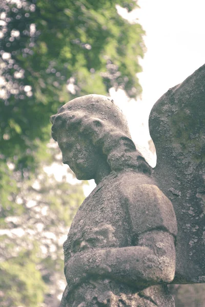Vintage szomorú angyal a temetőben, szemben a fák és a levelek bac — Stock Fotó
