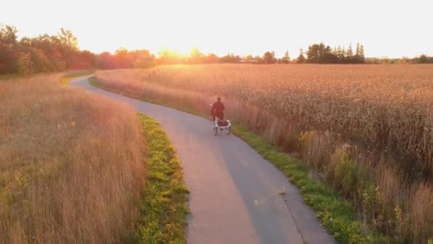 Donna solitaria viaggiatore in bicicletta al tramonto ora d'oro. Epico volo aereo sopra colorato Autunno o Autunno parco forestale. Avventura escursionismo e turismo concetto di vita . — Video Stock