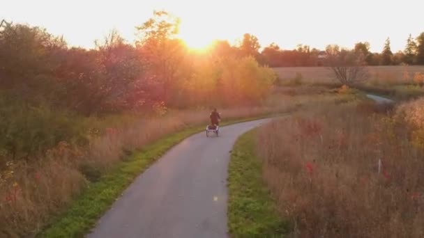 Ensam kvinna resenär cykling cykel vid solnedgången gyllene timme. Episk antenn flygning över färgglada hösten eller hösten skogspark. Äventyrsvandring och turism livsstil koncept. — Stockvideo