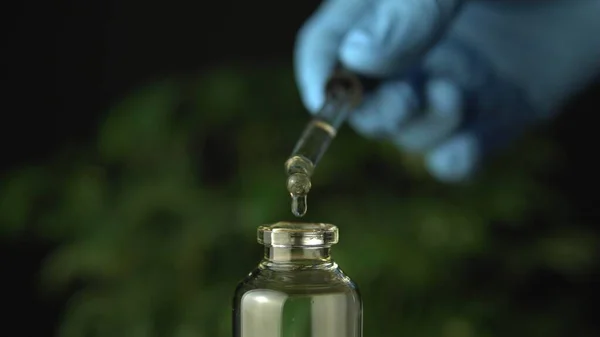 Pipetdruppel Doseren Licentie Cannabis Cbd Olie Voor Medische Doeleinden Hydroponische — Stockfoto