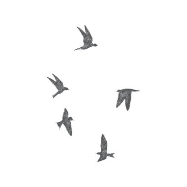 Kuşlar beyaz arka plan üzerinde uçan şehir silüeti. İlham verici vücut flash dövme mürekkebi. Set gri kuş uçmak yutar, dokulu noktalarla el yapımı. Vektör.