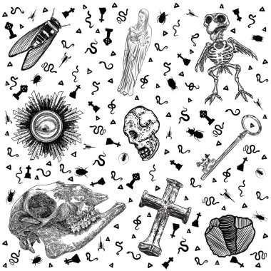 Okült ortaçağ antik kitap elementleri. Büyücülük okültizmi mistik simya sembolleri. Kutsal zanaat sanatı. Anahtar, insan ve keçi kafatası, göz, kristal, İsa ile Maria, ağustos böceği, kuş iskeleti, haç. Vektör. 