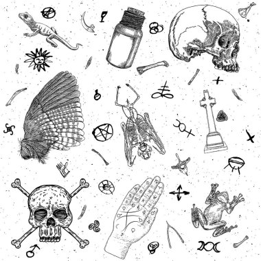 Büyülü cadı seti. Büyücülük gizemi sembolleri, iksir şişesi, el falı bakıcısı el, kuş kanadı, mezar taşı haçı, vampir yarasa iskeleti, insan kafatası, kertenkele, kurbağa. Vektör.