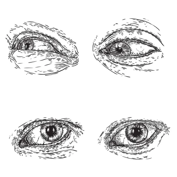 Набор Различных Рисунков Человеческого Глаза Разных Направлениях Эмоциях Видят Глаз — стоковый вектор