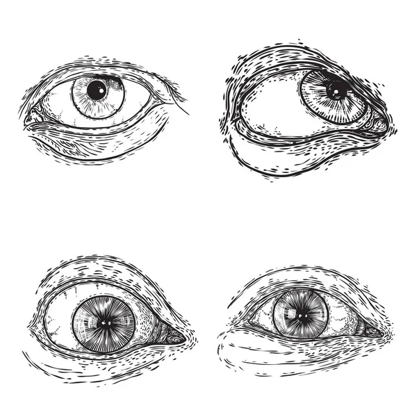 異なる方向と感情に人間の目の様々な図面のセット オプションのデザイン要素としてのメイソンのシンボルであるすべての目を見てください ビジョンだ ベクトル — ストックベクタ