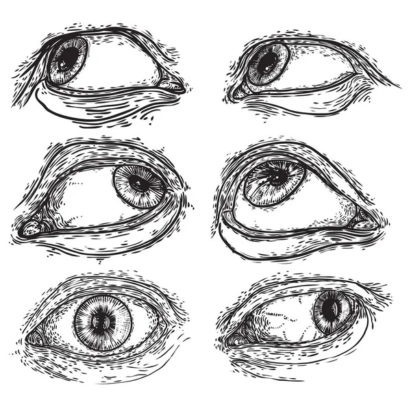 Zestaw Ludzkich Oczu Projektowania Wszystkich Odmian Symboli Oczu Alchemia Duchowość — Wektor stockowy