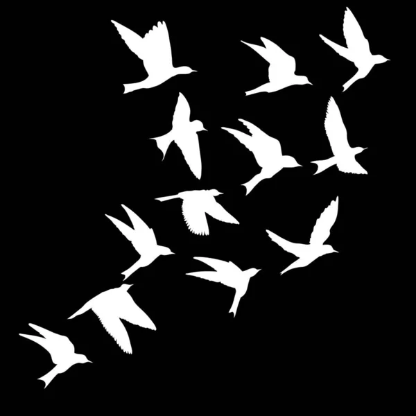 Silueta Aves Voladoras Sobre Fondo Negro Inspiración Cuerpo Flash Tatuaje — Archivo Imágenes Vectoriales