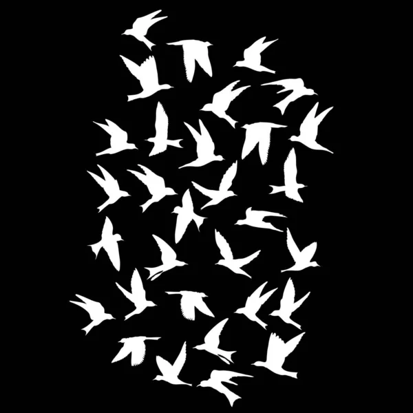 Silhouette Oiseaux Volants Sur Fond Noir Encre Tatouage Éclair Corps — Image vectorielle