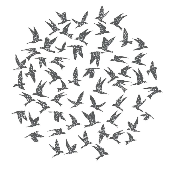 城市飞行的鸟的剪影在白色背景 励志身体闪光纹身墨水 一套质感的灰色鸟类飞燕子 手工制作 — 图库矢量图片