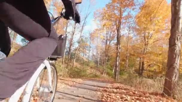 Ποδηλάτης που οδηγεί ηλεκτρικό ποδήλατο στο καταπράσινο πάρκο. Οικολογική έννοια. Πυροβολήθηκε από πίσω.. — Αρχείο Βίντεο