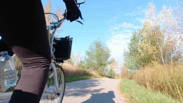 Cyclist riding an electric bicycle in the park green area. Ecology concept. Shot from behind. — Stock Video