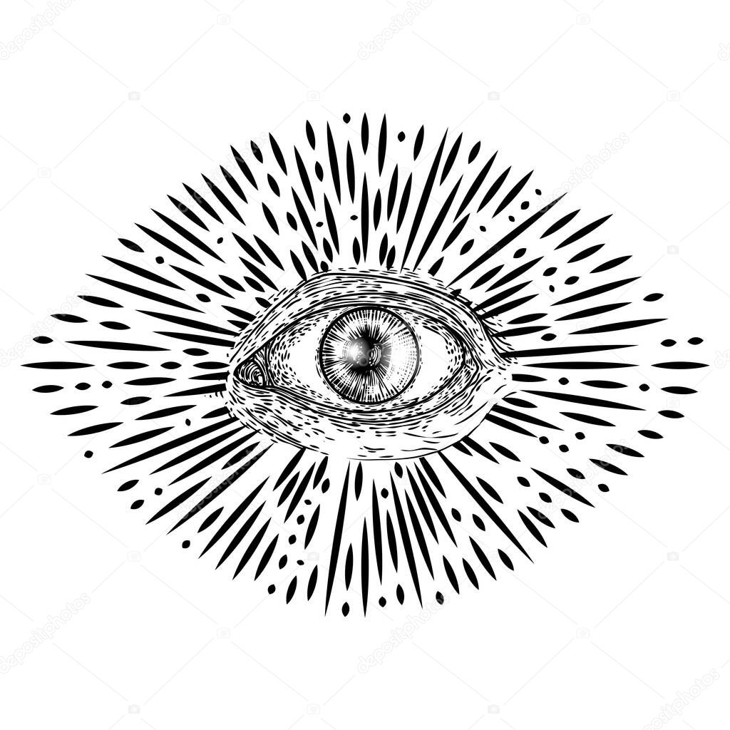 Eye of Providence or All seeing eye. Masonic symbol. New world order sacred religion symbol and spiritual occultism. Occulture vector. 