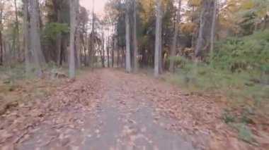 Bisikletçi Bakış açısı, şehir parkındaki bisiklet manzarası.