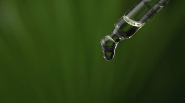 Pipette damlası tıbbi amaçlar için lisanslı kenevir CBD yağı. Hidrofonik biyolojik ve ekolojik kenevir bitkisi ve bitkisel ilaç kliniği çalışma konsepti. 