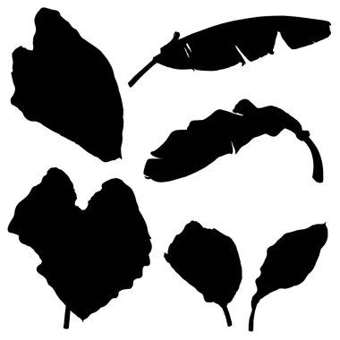 Siyah tropikal orman yaprakları. İzole edilmiş palmiye dalları ve bitki yaprakları veya yaprak silueti. Vektör.