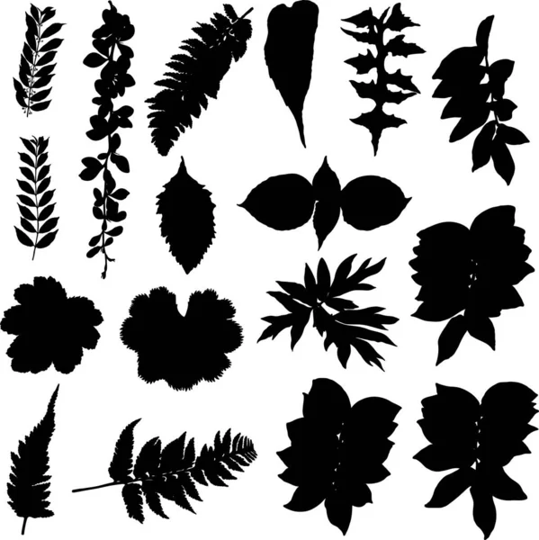 Black Various Forest Leaves Set Isolated Tree Branches Herbs Leaf — Stock Vector